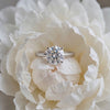 The MOHRA 5ct Solitaire Ring — Silver